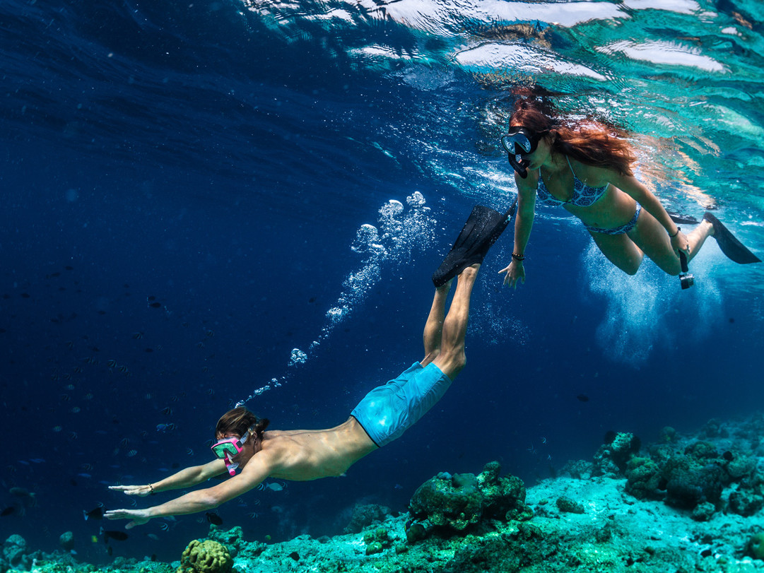 Toonado - Immersione e snorkeling a Sorrento - Esperienza privata